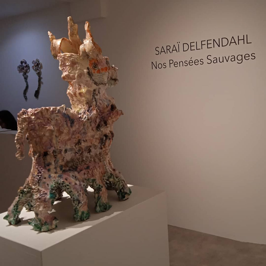 Saraï Delfendahl stellt in der galerie Scène ouverte aus